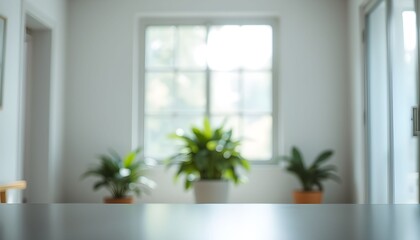 A blurred image of a bright room with plants on a table in front of a window.