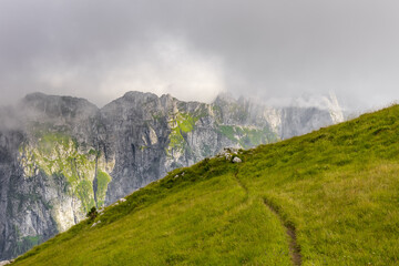 footpath through the lush green grass valley leading to the green hill cliff with mountain peak view. atmospheric foggy mountain