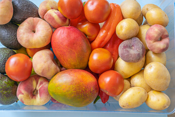 Interior view of a refrigerator drawer with juicy tomatoes, freshly picked potatoes, fleshy red bell peppers, and perfectly preserved velvety-skinned nectarines