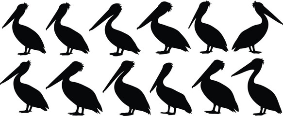 Pelican silhouette vector set, black bird icons, wildlife animal clipart, tropical seabird illustration, nature pattern, editable graphic for design