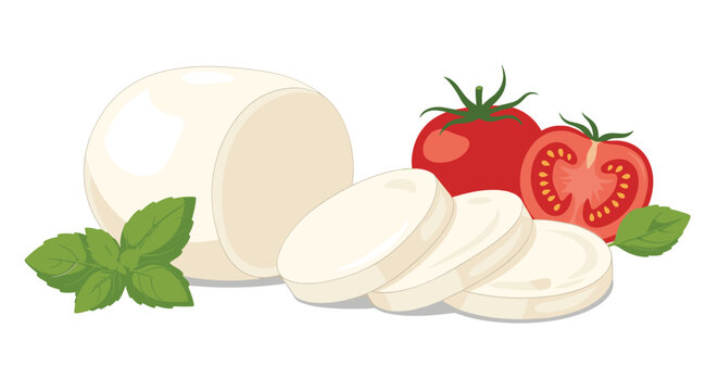 Fresh mozzarella cheese with tomatoes and basil leaves.