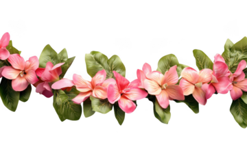 Floral garland with pink flowers and green leaves, botanical illustration, springtime decoration, isolated design element, isolated on transparent background