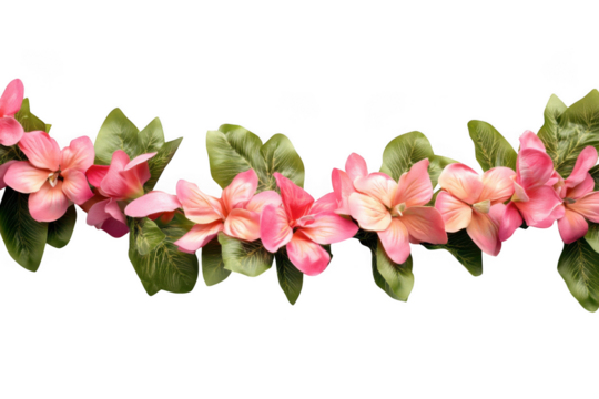 Floral garland with pink flowers and green leaves, botanical illustration, springtime decoration, isolated design element, isolated on transparent background