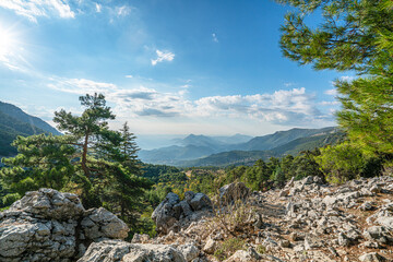 Fototapety na wymiar - Fototapeta24.pl