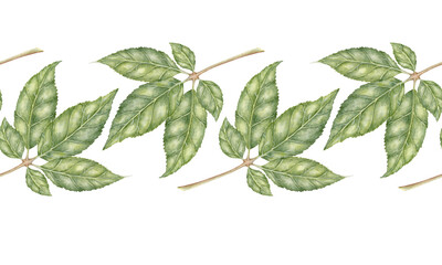 Watercolor Korean Ginseng Leaf Botanical Border. Elegant natural design symbolizing vitality and protection. Perfect for product labels, spiritual prints, herbal branding, and moon ritual compositions