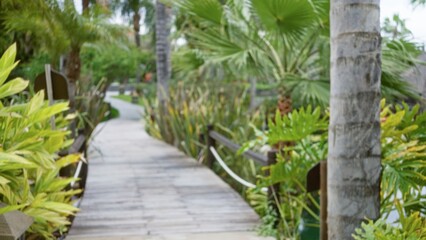 Blurred view of a tropical hotel resort garden path with lush greenery and defocused background showcasing palm trees and vibrant foliage on an outdoor walkway.