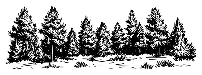 pine tree forest panorama hand drawn sketch © Kaz