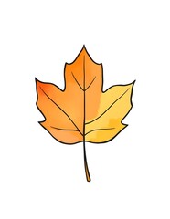 yellow maple leaf watercolor illustration
