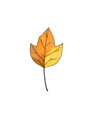 yellow autumn leaf watercolor illustration