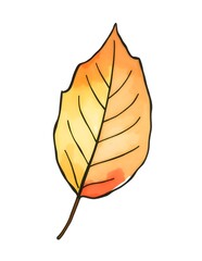 autumn leaf watercolor illustration