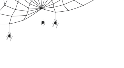 Black spider web isolated on transparent white background 