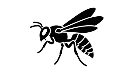 Obraz premium Silhouette of a Wasp Detailed Insect Illustration.