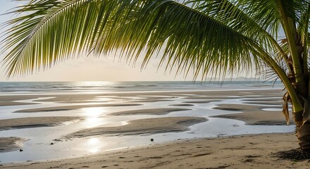 A palm tree frond hangs over a tranquil beach at low tide during a golden sunset.