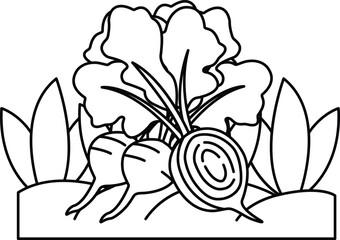 A drawing of a vegetable garden with a bunch of carrots and beets