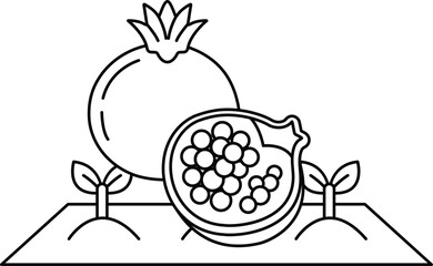 A drawing of a pomegranate and a bunch of grapes