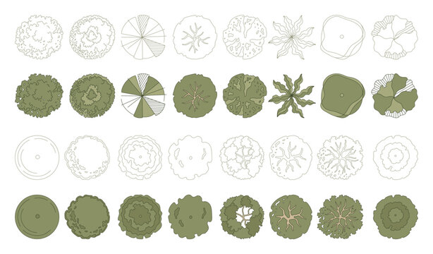 Top view trees for architectural plans and landscape design. Minimal vector illustration for urban planning, site plans, and architectural entourage.