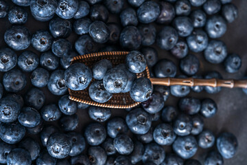 Deep blue ripe blueberries on a dark black velvet background with a wooden spoon lifting some fruits, revealing their juiciness