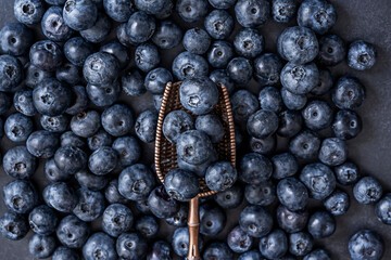 Ripe wild blueberries scattered on an aged dark wood background with a stainless steel spoon picking the best specimens