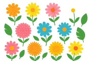 Colorful blooming spring and summer flowers with green foliage elements