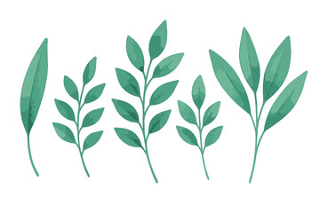 Green watercolor foliage elements and botanical branches collection isolated on a white background