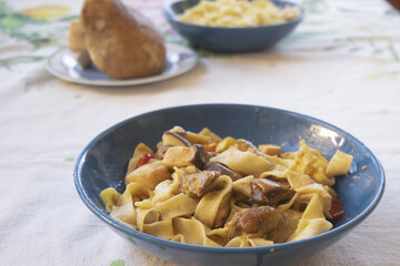 handmade pappardelle pasta with porcini mushrooms in blue bowl