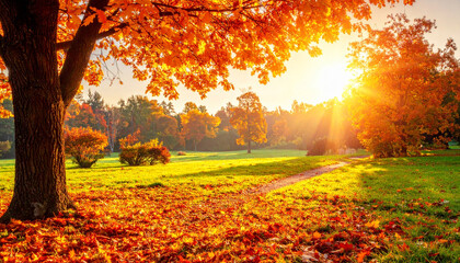 Fototapeta premium Beautiful autumn landscape with. Colorful foliage in the park