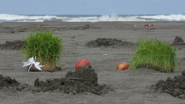 Traditional Sabzeh sprouts and apples placed on a sandy beach by the sea, part of the Iranian Sizdah Bedar ritual during Nowruz, symbolizing renewal, letting go, and returning life to nature.