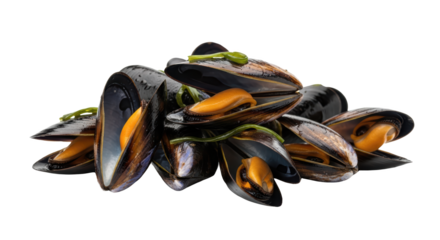 Steamed Mussels Grouped Together With Green Garnish Isolated on a Transparent Background