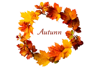Autumn wreath of colorful fall leaves with the word autumn in the center