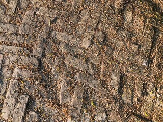 Overhead view of a muddy ground with tire tracks and scattered leaves in autumn season