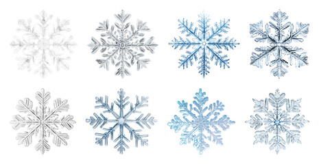 PNG Intricate frosty snowflake designs, element set on transparent background
