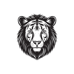 Lion head isolated on white background image