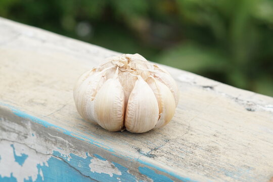 shallots that have started to rot and garlic, garlic in hand