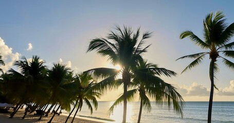 Obraz premium Karibischer Strand mit vielen Palmen und weißen Sand, Sonnenbänken. Sonniger warmer Tag am Meer · Palmen am Schwimmbad gegen den Himmel.Caribbean beach with many palm trees and white sand, sunbeds.