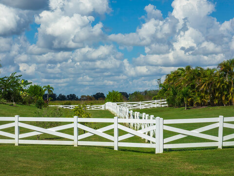 Ranch-style crossbuck fence of white vinyl between two houses (off camera) in a semi-rural residential neighborhood in southwest Florida, for motifs of separation, enclosure, and aesthetics