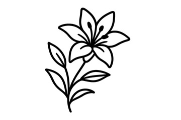 Single blooming lily flower depicted in a simple black outline style with stem and leaves