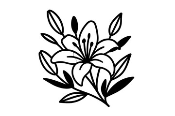 Minimalist botanical drawing of a beautiful lily blossom and foliage on a white background