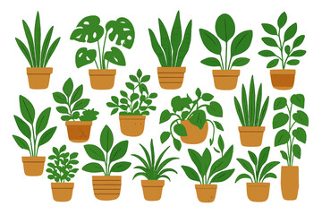 Obraz premium Set of diverse potted green foliage plants for home decor