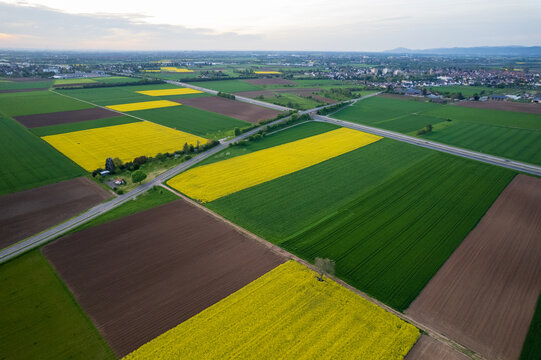 Aerial view of patchwork fields in vivid hues of green, yellow, and brown stretching towards a distant horizon, Mannheim, Baden-Wurttemberg, Germany.