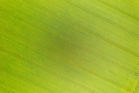 Aerial view of vibrant green fields etched with dark parallel lines, a geometric tapestry of agriculture, Mannheim, Baden-Wurttemberg, Germany.