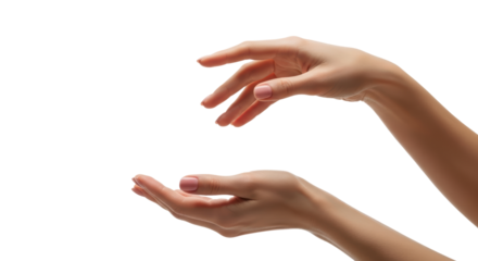 Elegant female hands gesturing gracefully on isolated background