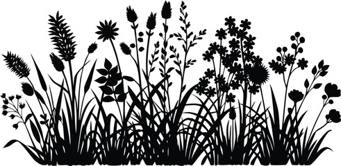 Detailed black silhouette of various wild meadow grasses and wildflowers against a white background