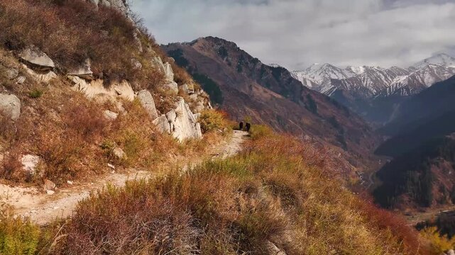 Aerial view panorama of yellow autumn forest in Almaty