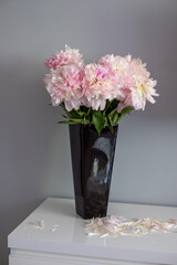 Peonies in a sleek black vase, showcasing delicate pink petals and lush green leaves, arranged elegantly on a white surface with soft lighting and a serene atmosphere