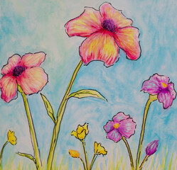 watercolor background with poppies