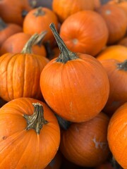 Close-up of Orange Pumpkins for Autumn Decoration
