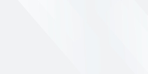 Simple white and gray background. smooth abstract background, blurred pattern. vector eps10