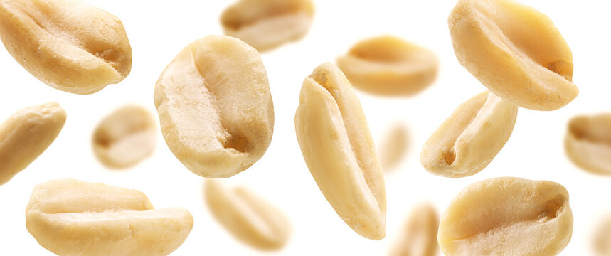 Peeled peanuts levitate on a white background