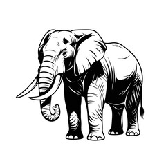 Elephant Sketch Illustration – Wild Animal Outline Vector Drawing
