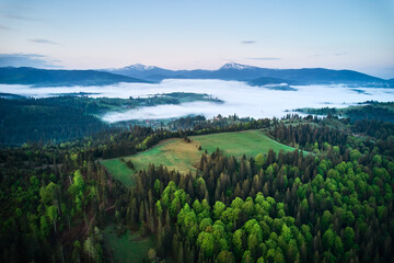 Breathtaking view of lush green fields and dense forests under pastel sky at dawn. Misty clouds blanket valleys, with snow-capped mountains in background adding majestic touch to this tranquil scene.